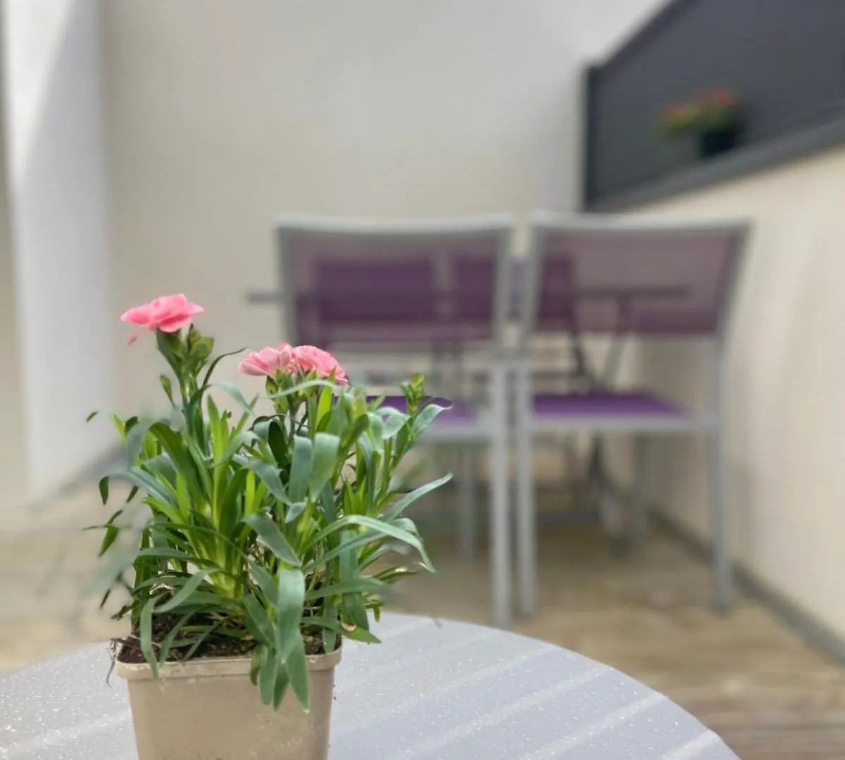 Plein Centre Auray - Grand Duplex 2 Chambres Avec Terrasse Ensoleillee